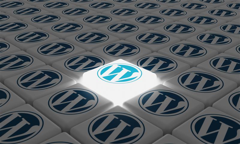 An array of WordPress logos arranged in a grid, highlighting one illuminated logo at the centre, symbolising key WordPress features